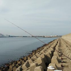 東二見でキス狙い