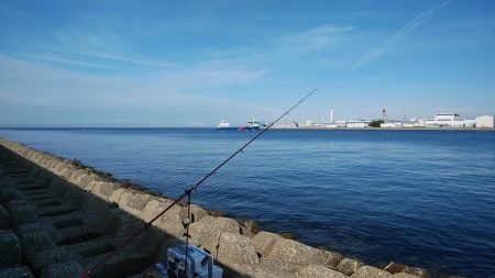 近場のキス調査