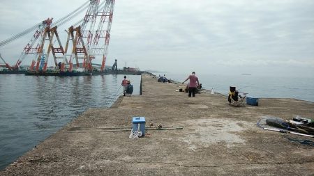 播磨新島のキス調査