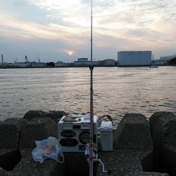 東二見西水路のキス調査