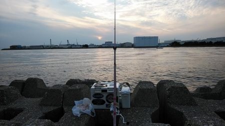 東二見西水路のキス調査