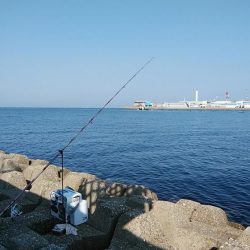 東二見西水路のキス調査