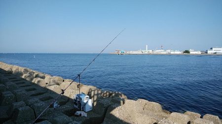 東二見西水路のキス調査