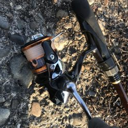 クローワームでディゲーム