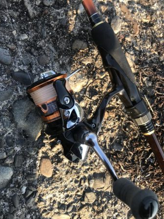 クローワームでディゲーム