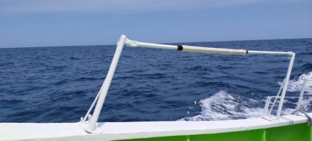 ネチネチネギング