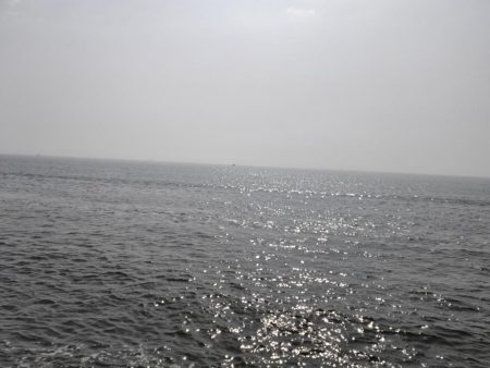 マイクロベイト大量でシーバスボイル