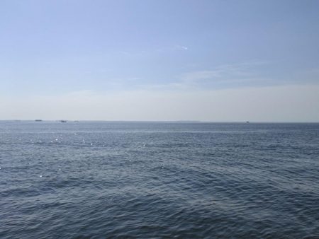 今日もマイクロベイトパターン