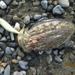 やっぱ道具は大事