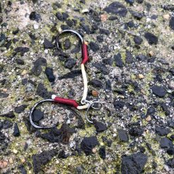 2021 佐渡ヶ島 ショアジギング