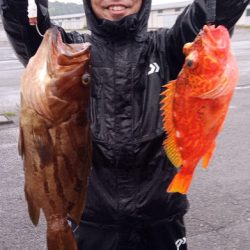 康仁丸・ジギング釣り果