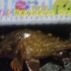 釣りデビュー　152日目