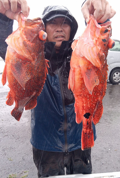 康仁丸・ジギング釣り果