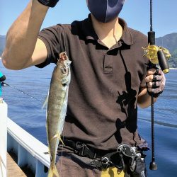 内之浦スーパーライトジギング釣果