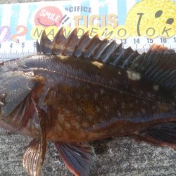 釣りデビュー 154日目