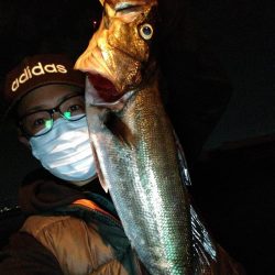 エビ(活)で鯛(黒)を釣る
