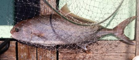 康仁丸・釣り果