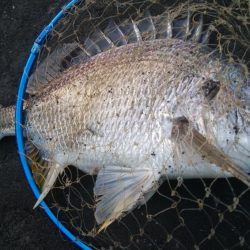 釣りデビュー 161日目