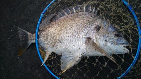 釣りデビュー 161日目