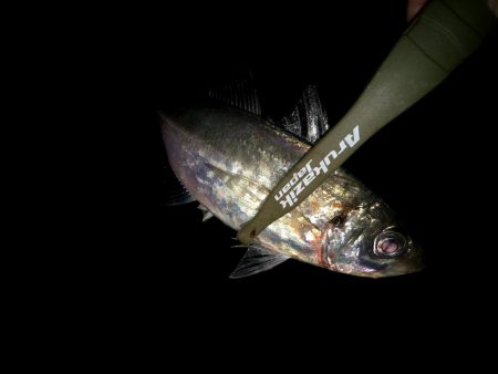 二匹目のドジョウ