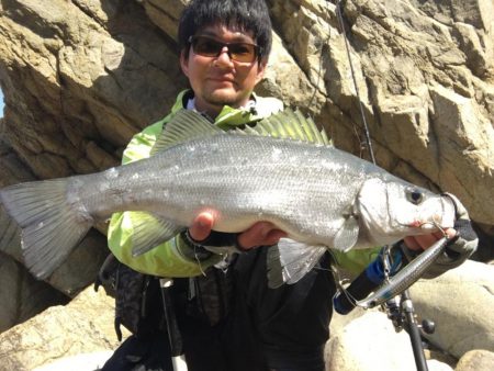 A.P.Pフィッシングガイドサービス　ヒラスズキ狙いのロックショアゲームのポイントチェックにRIDEON！