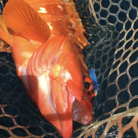 A.P.Pフィッシングガイドサービス　カヤ…