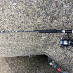 プチsalt water game！