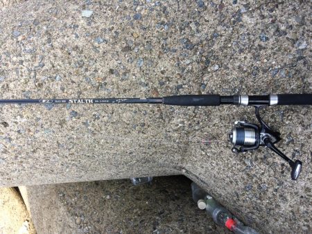 プチsalt water game！