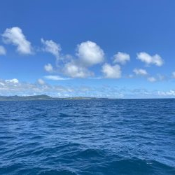 グルクン釣れてます！