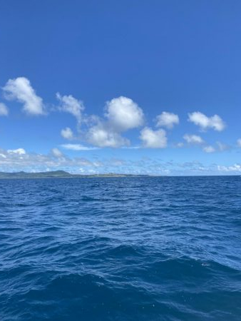 グルクン釣れてます！