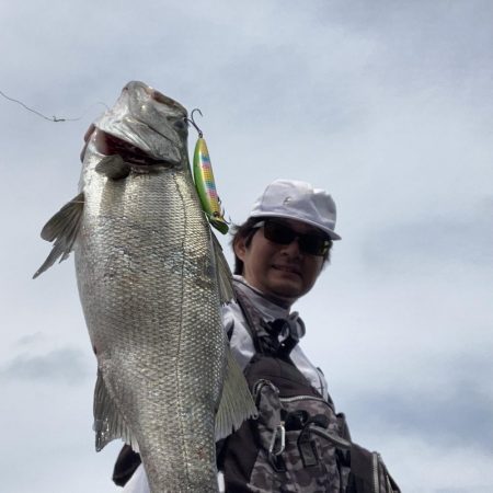 A.P.Pフィッシングガイドサービス 磯ヒラスズキゲームにて「ライド オン ブレス」発生