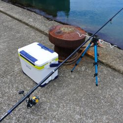 キスは小型がポツポツ