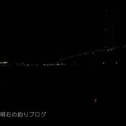 大サバの試し釣りで2本!