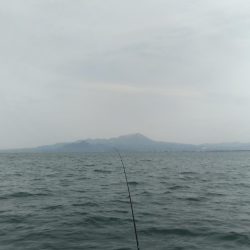 デカモンゴエギング