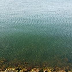 初キロupが、何と2キロOver！