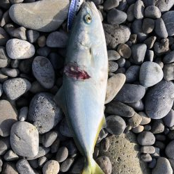 初青物‼︎小物ラッシュ！