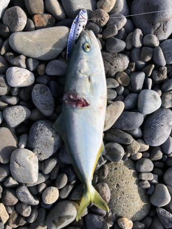 初青物‼︎小物ラッシュ！