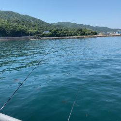 久しぶりのカワハギ