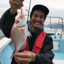 激レア シロアマダイ またまたゲット!