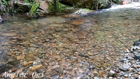 雨の後でも苦戦/揖保川でのアマゴ釣り