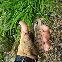 今日も大荒れ( ノД`)…