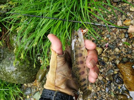 今日も大荒れ( ノД`)…