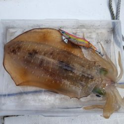 マイボートエギング