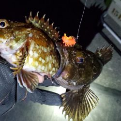 大阪湾奥最前戦