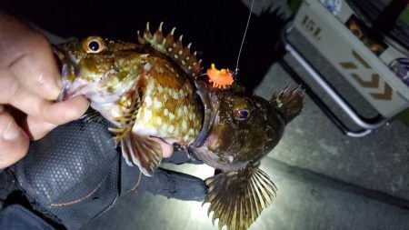 大阪湾奥最前戦