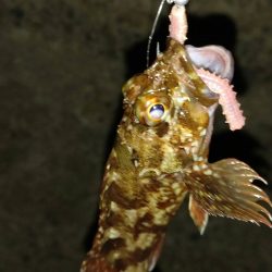 渋かったが楽しめた　超大物の引き