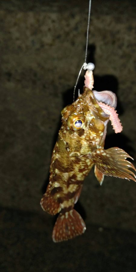 渋かったが楽しめた　超大物の引き