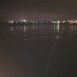 ブリ 98cm ゲット❗️