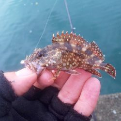 強濁りには音と光