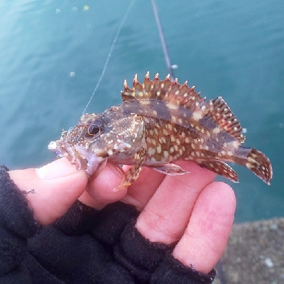 強濁りには音と光